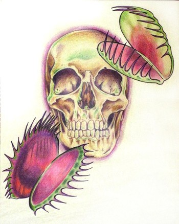Art Galleries - Skull and Flytraps